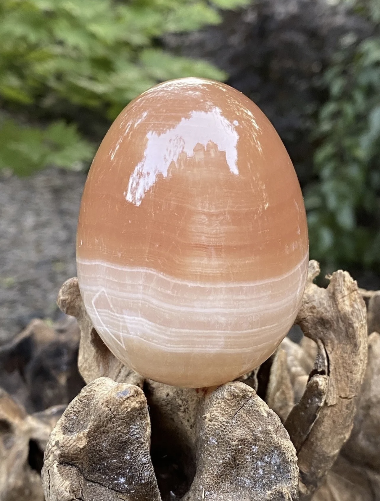 EGG