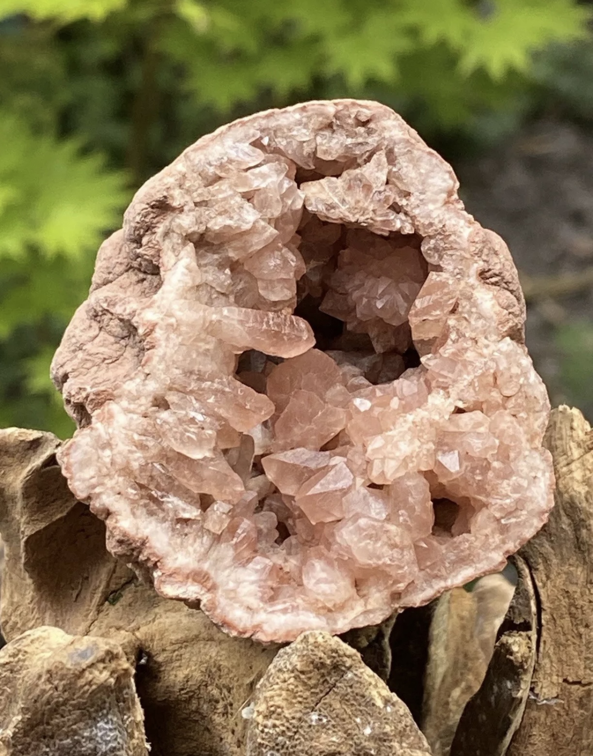 GEODE