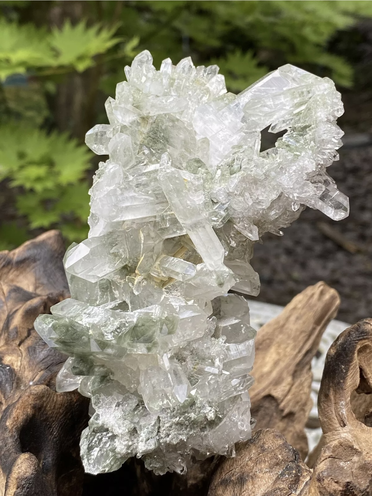 CHLORITE PHANTOM QUARTZ