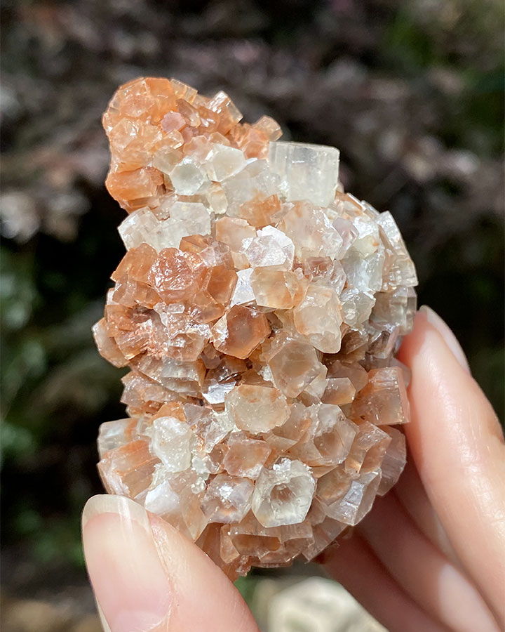 ARAGONITE - BROWN