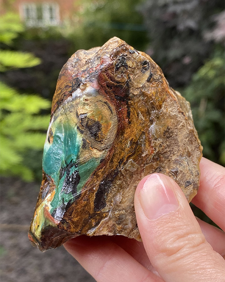 FOSSILIZED/PETRIFIED WOOD