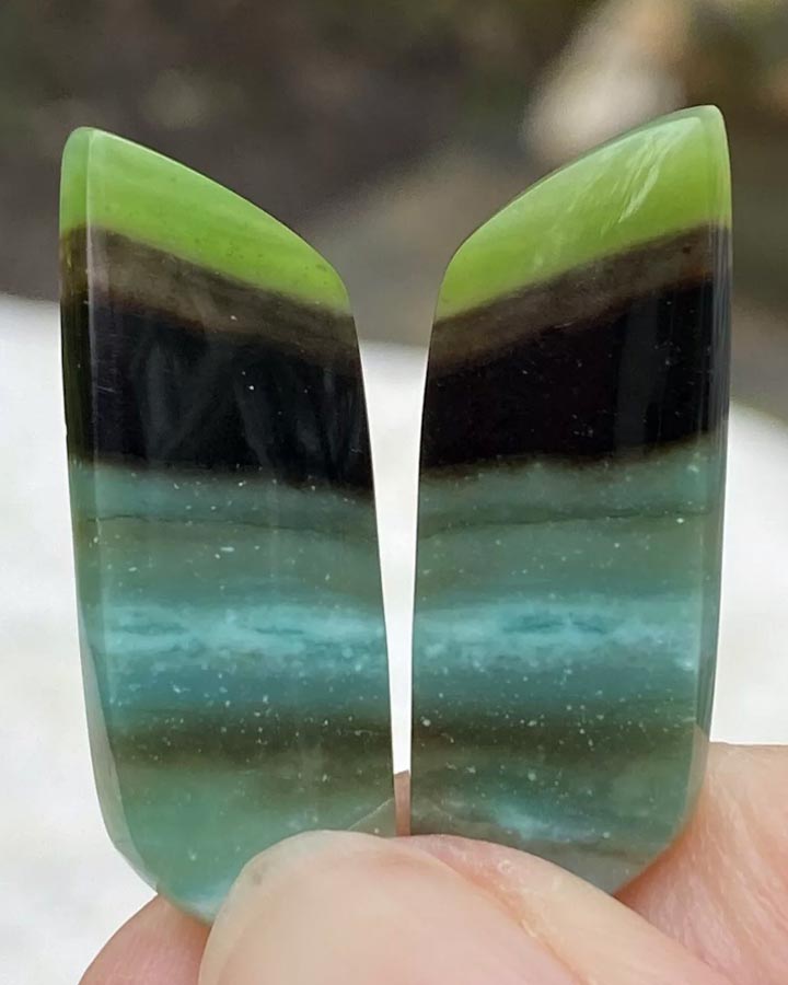 OPALIZED WOOD