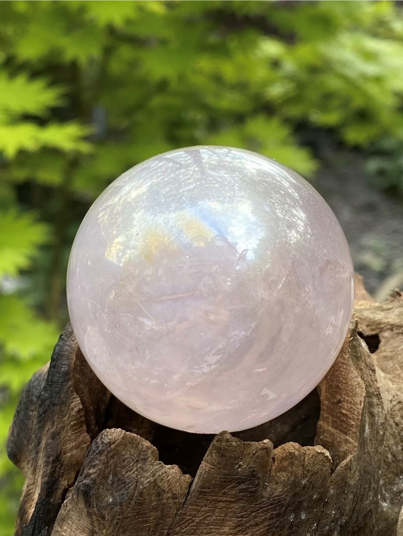 ROSE AURA QUARTZ